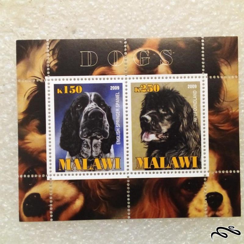 مینی شیت مالاوی 2009 سگ (023)