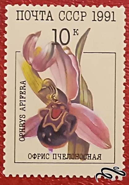 تمبر زیبای باارزش قدیمی ۱۹۹۱ شوروی CCCP . گل (۹۲)۱