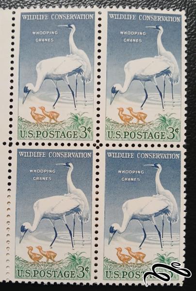 امریکا 1957 / حفاظت از حیات وحش wildlife conservation