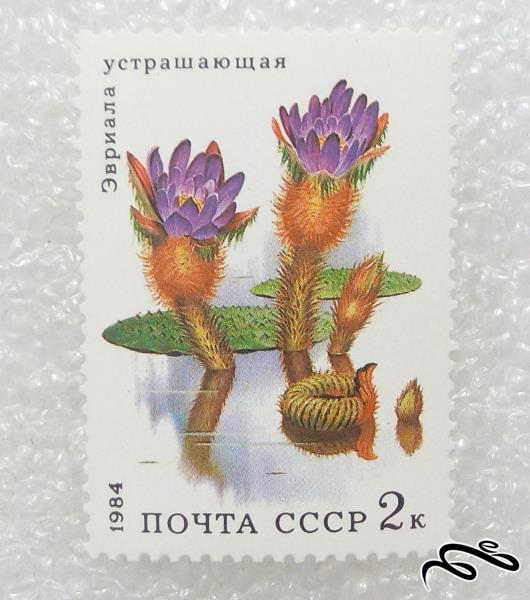 تمبر زیبای 1984 شوروی CCCP.گل (98)4 F