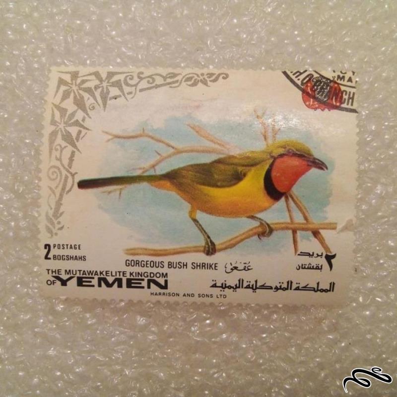 تمبر زیبای عربی یمن . پرنده (93)3