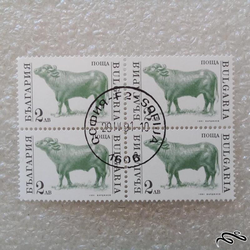 بلوک تمبر بلغارستان 1991 گاو م گمرکی (38)