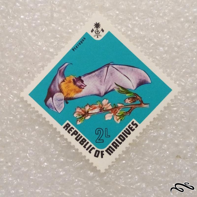تمبر زیبا و باارزش قدیمی مالدیو خفاش (98)5