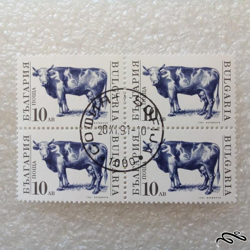 بلوک تمبر بلغارستان 1991 گاو م گمرکی (38)