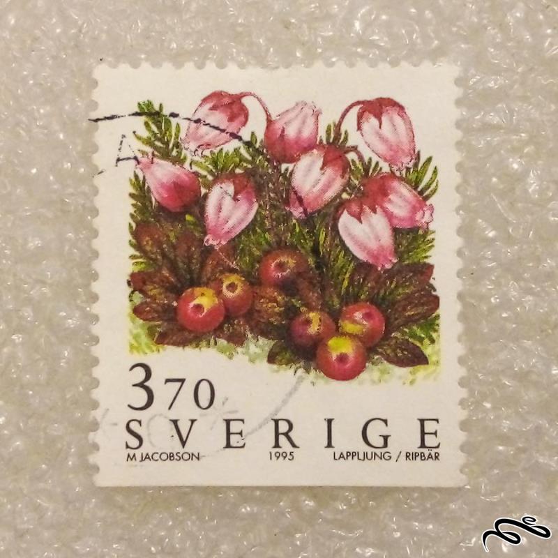 تمبر زیبای باارزش ۱۹۹۵ سوئد . گل (۹۳)۲