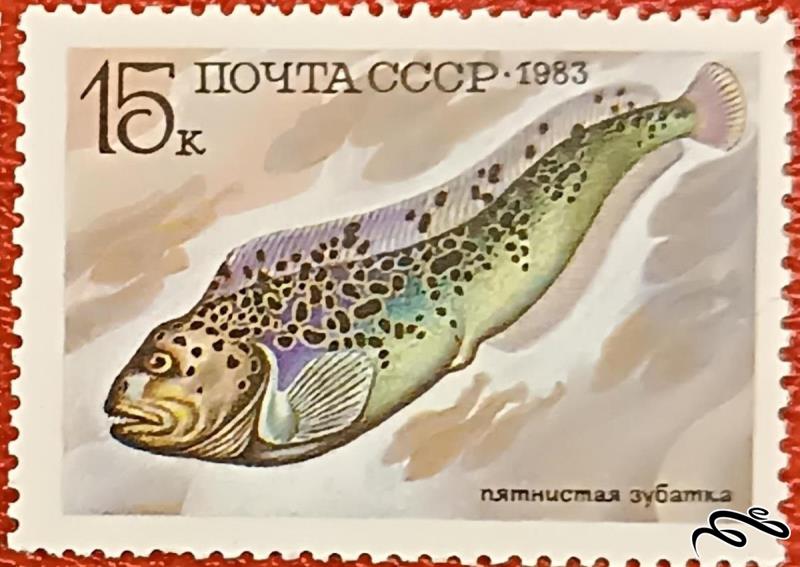 تمبر باارزش قدیمی ۱۹۸۳ شوروی CCCP . ماهی (۹۲)۰