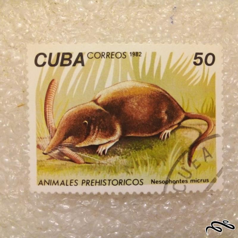 تمبر باارزش قدیمی کوبا 1982 / موش خرما / گمرکی (92)6