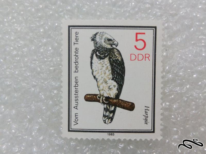 تمبر ارزشمند 1982 المان DDR.پرنده (98)3
