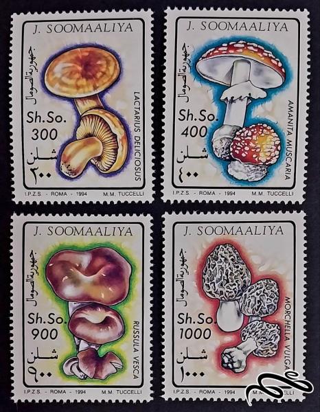 قارچ / سومالی 1994