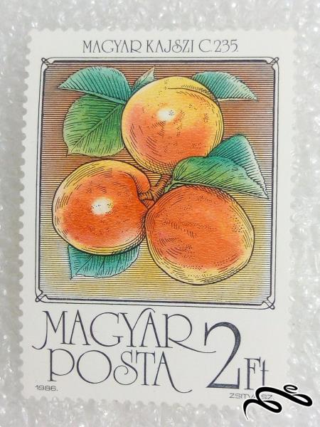 تمبر فوق العاده زیبای 1984 مجارستان میوه (98)5 F