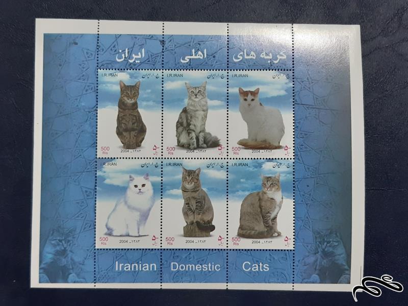 بلوک کامل گربه های اهلی ایرانی - 1383