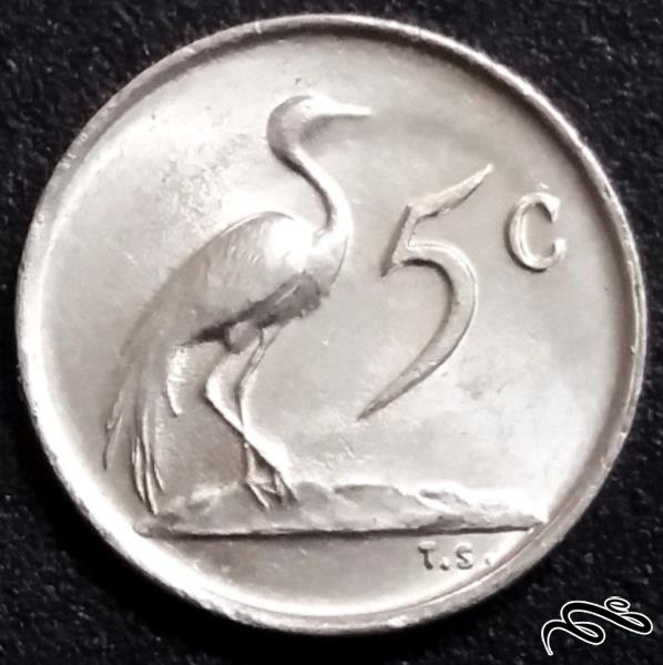 5 سنت قدیمی و کمیاب 1969 آفریقای جنوبی (گالری بخشایش)