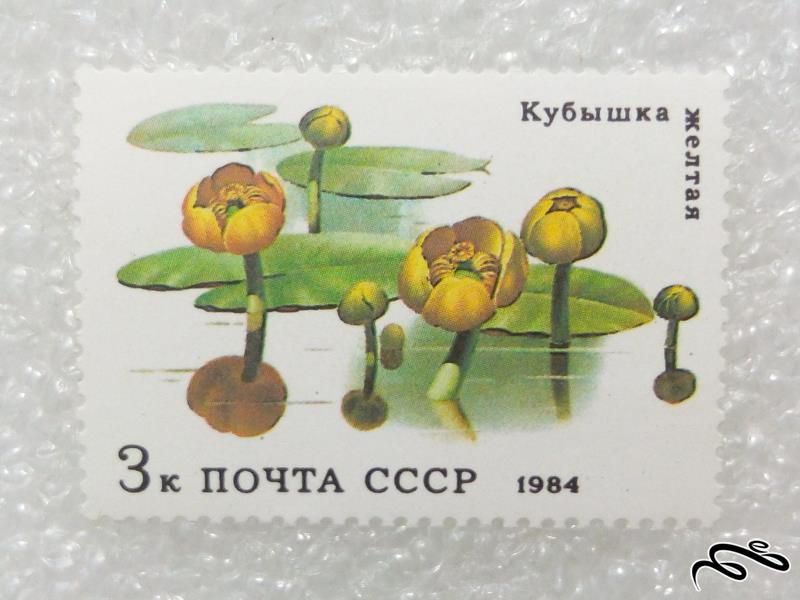 تمبر زیبای ۱۹۸۴ شوروی CCCP.گل (۹۸)۴ F