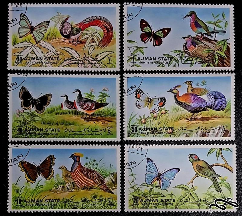 پروانه ها و پرندگان / عجمان 1972