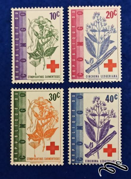 صلیب سرخ / استروفانتوس strophanthus sarmentosus / کنگو 1963